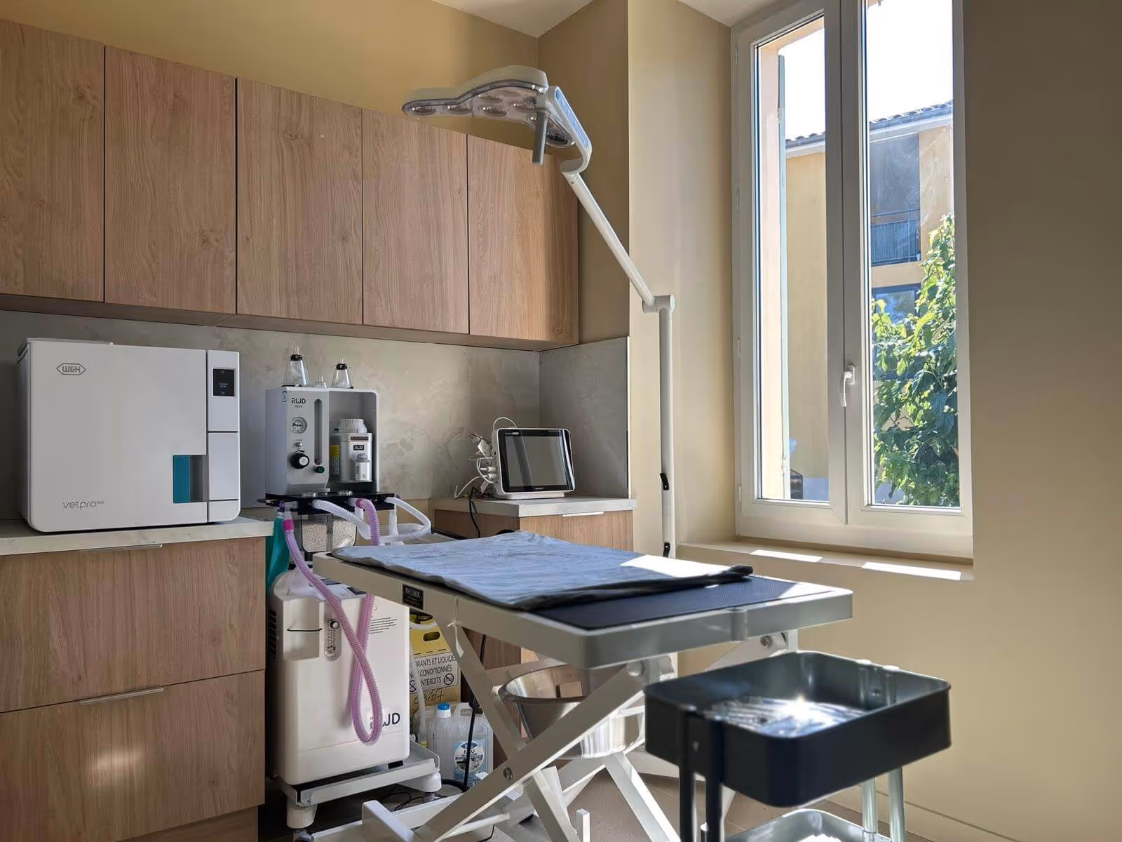 Salle de soins vétérinaire avec table d'examen, équipement médical et grande fenêtre laissant entrer la lumière.