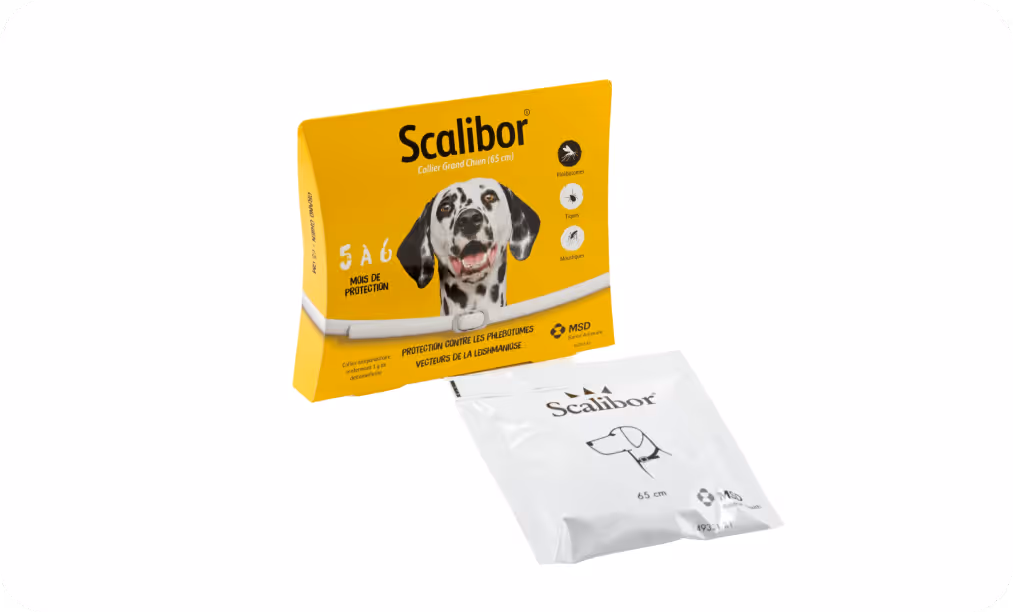 Boîte jaune Scalibor avec un dalmatien et un collier antiparasitaire blanc de 65 cm.