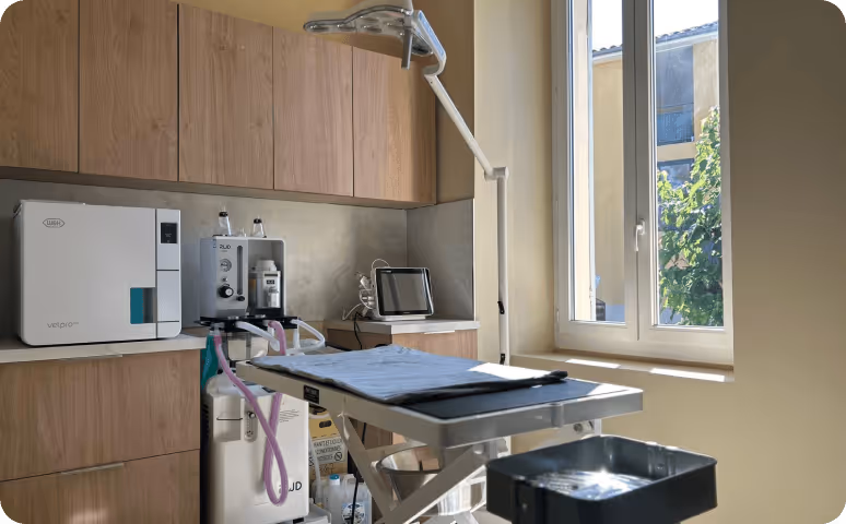 Salle vétérinaire avec table d'examen, équipements médicaux et fenêtre ouverte laissant entrer la lumière.