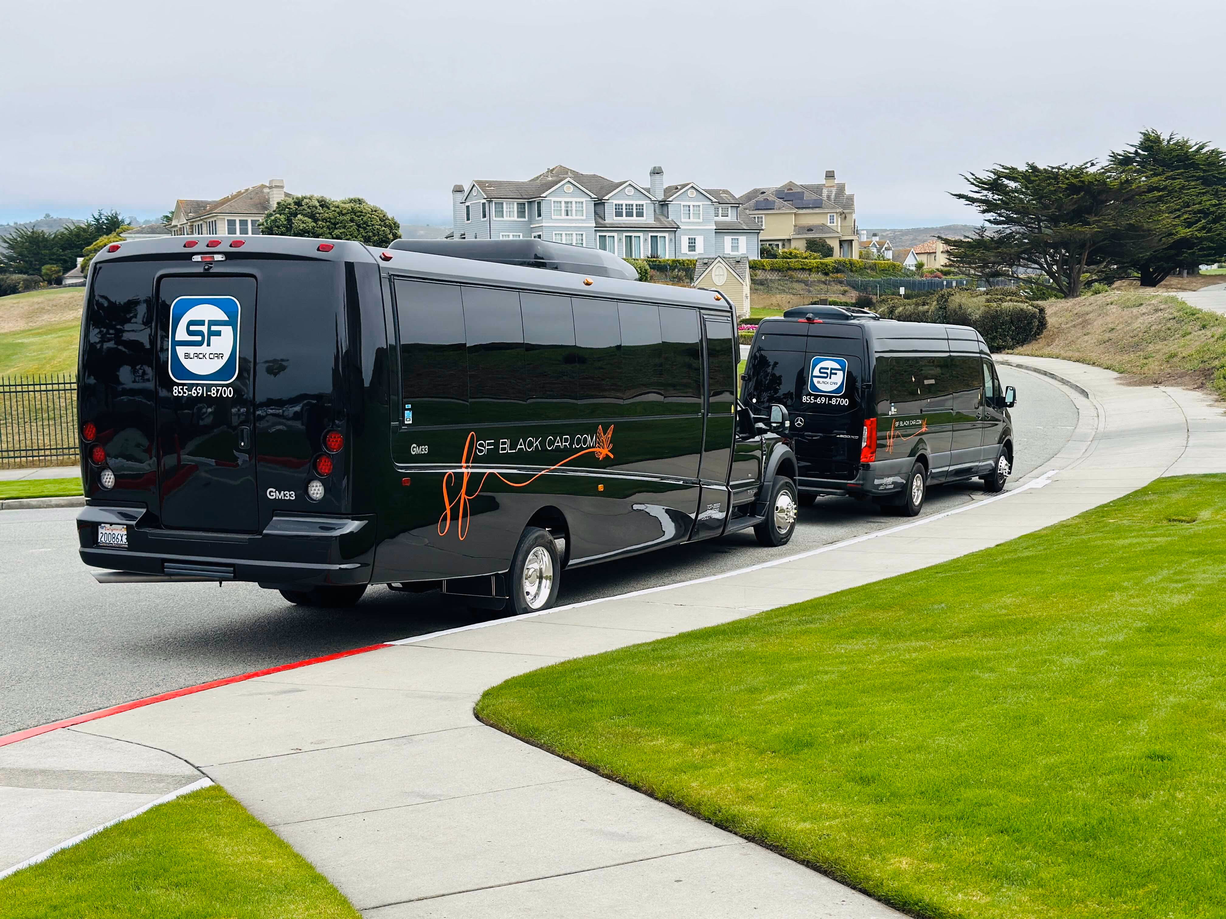 Two black SF Black Car buses driving along a coastal road past large homes