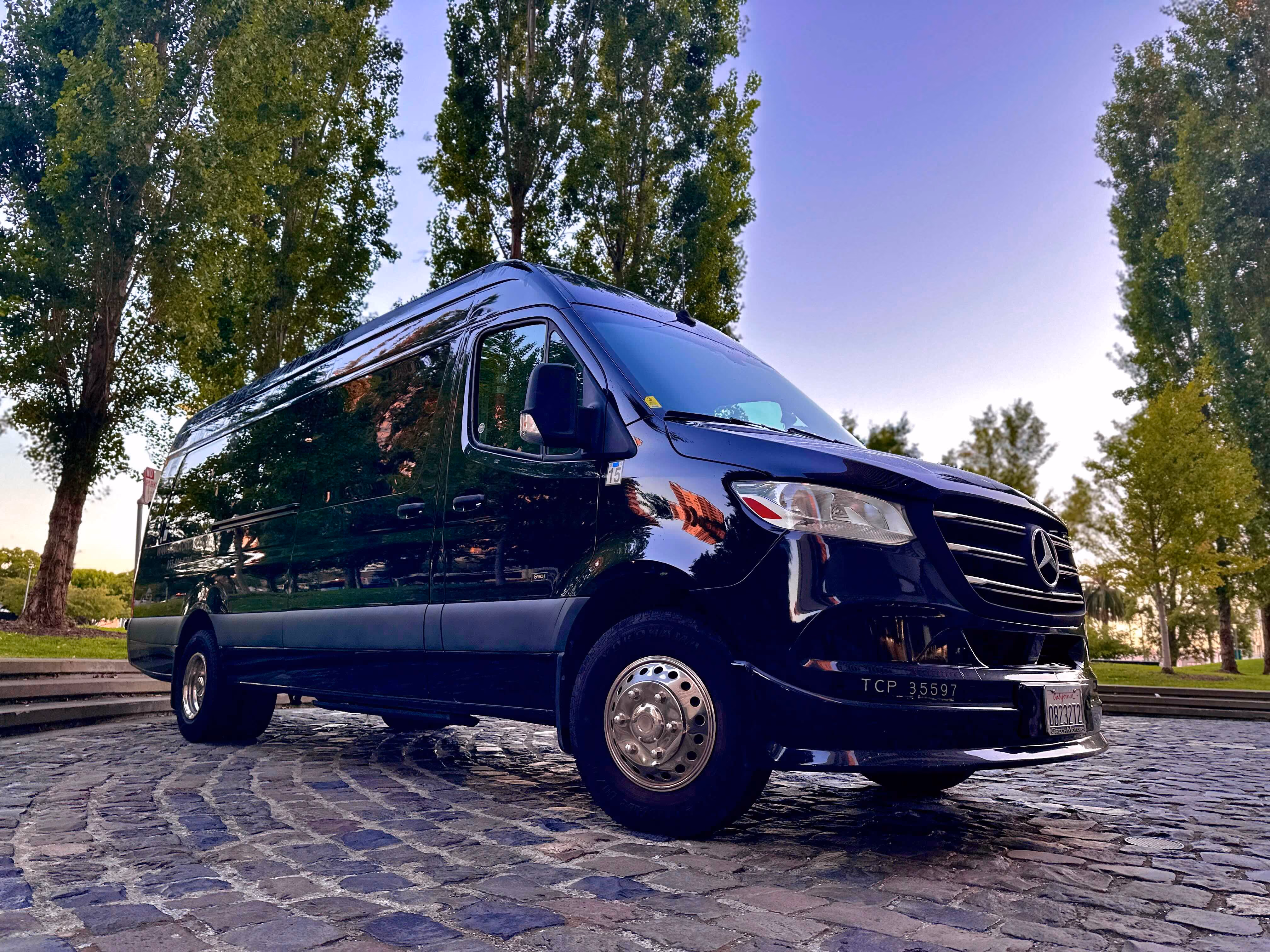 Black Mercedes Sprinter van parked on cobblestones beside tall poplar trees