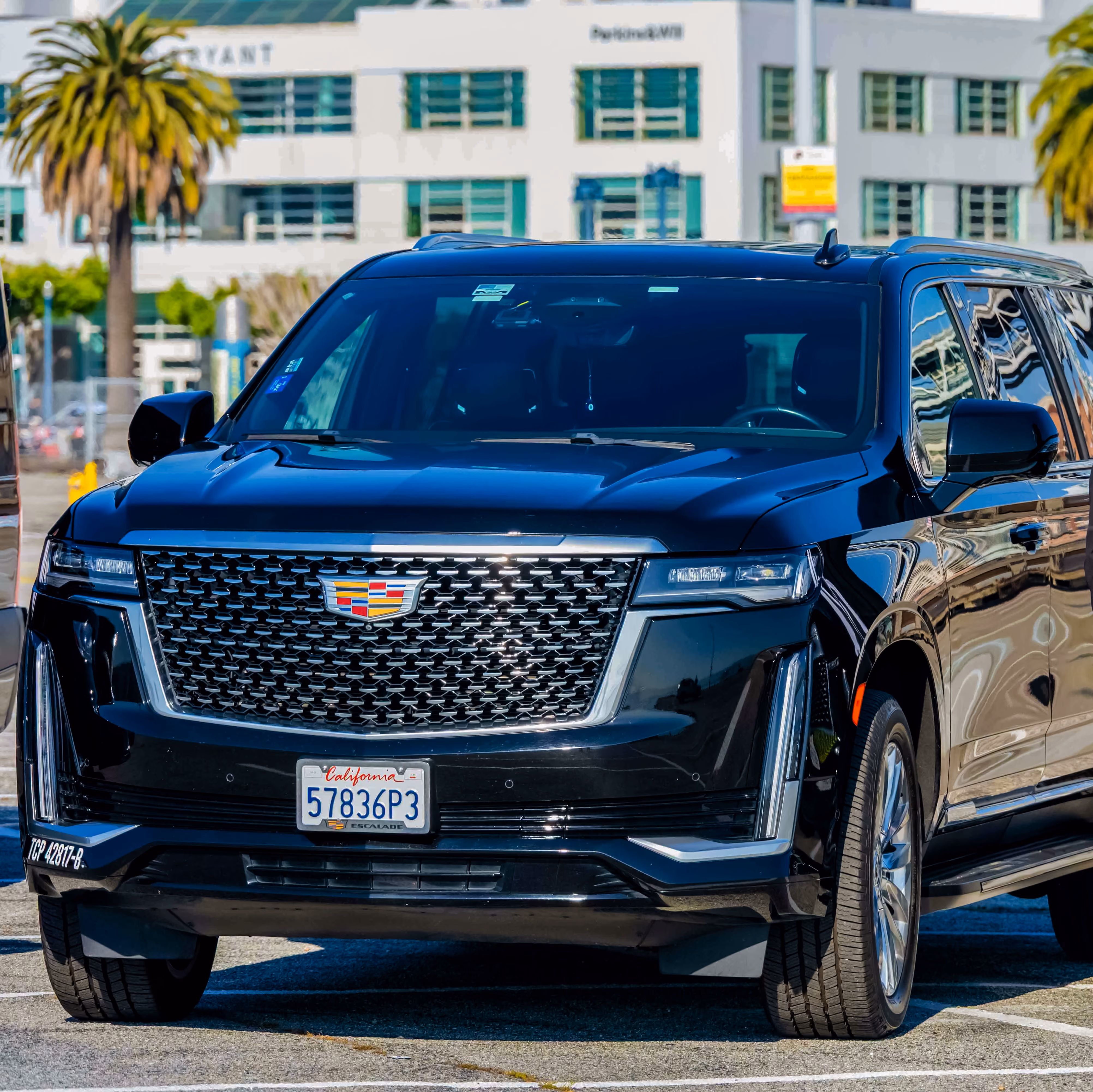 Black Cadillac Escalade parked on a sunny street beside a palm tree and office building