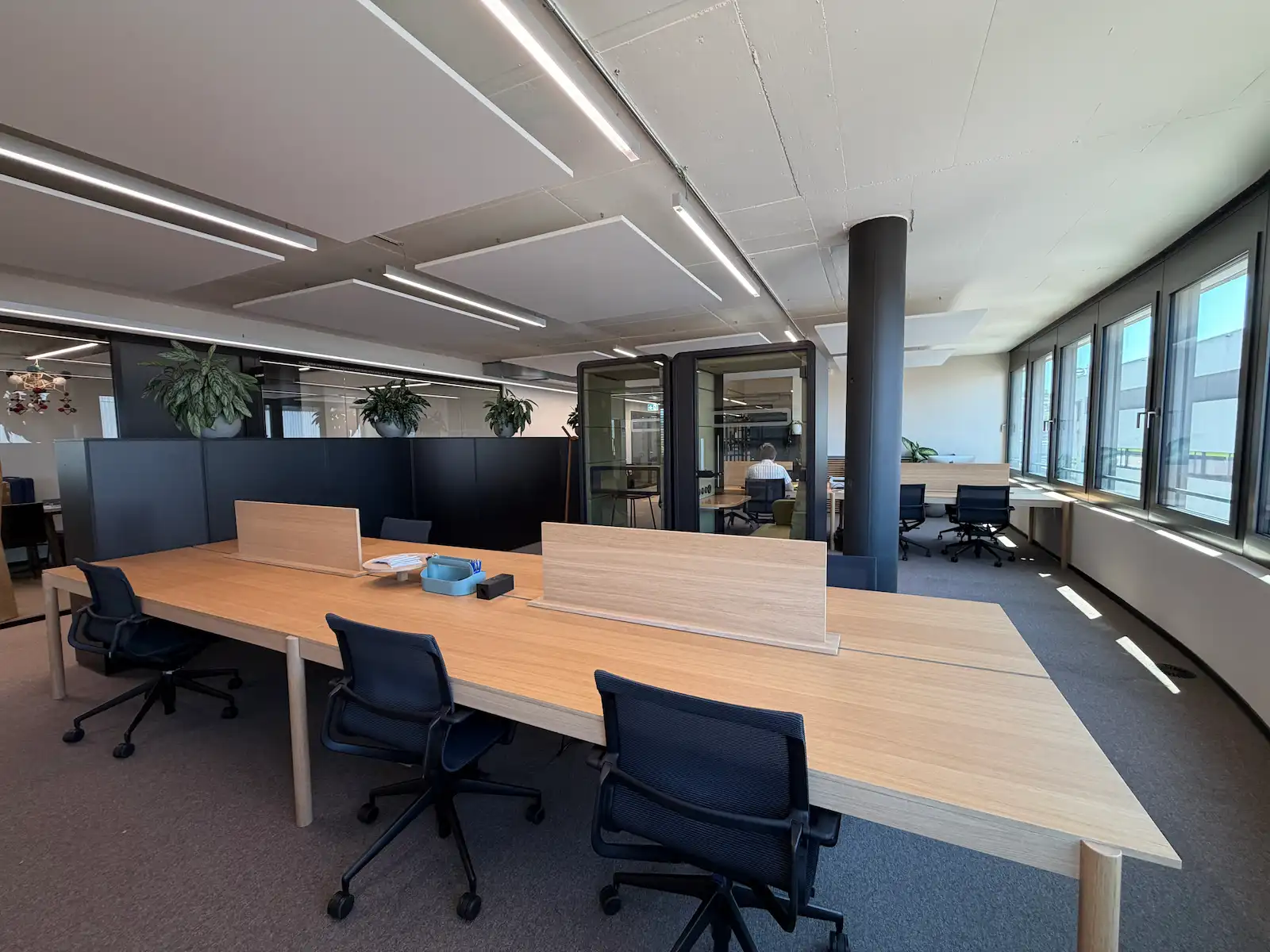 Flex Desk