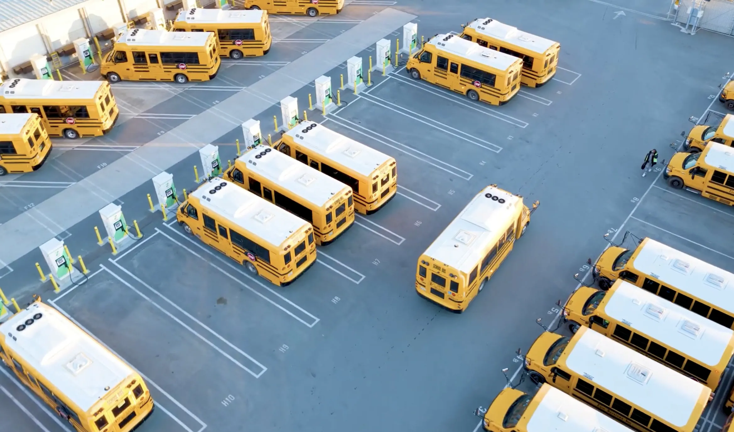 Aerial view of rows of Zum Services, Inc. school buses parked in a fleet yard.