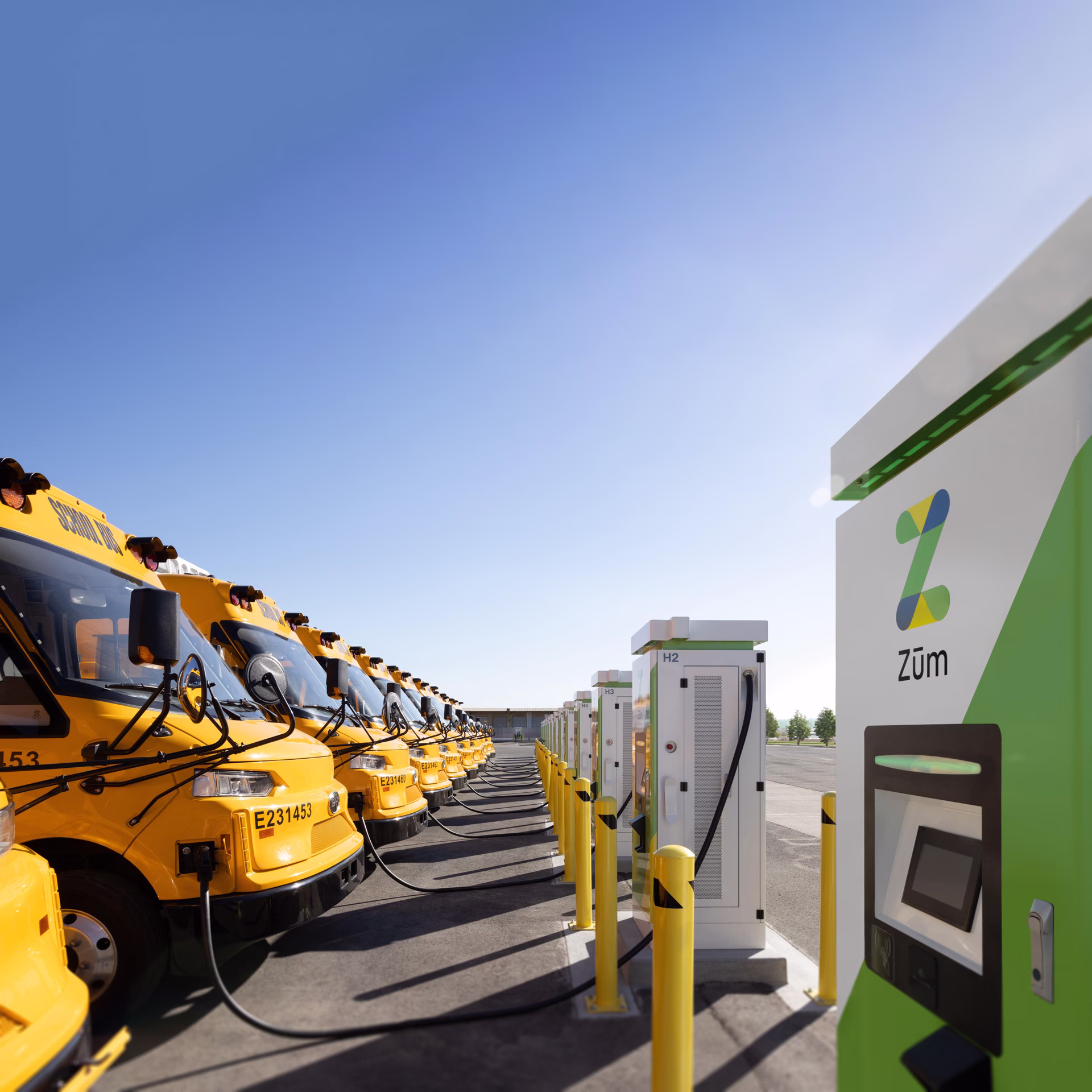 A row of Zum Services, Inc. electric school buses plugged into charging stations at a parking yard under a clear blue sky.