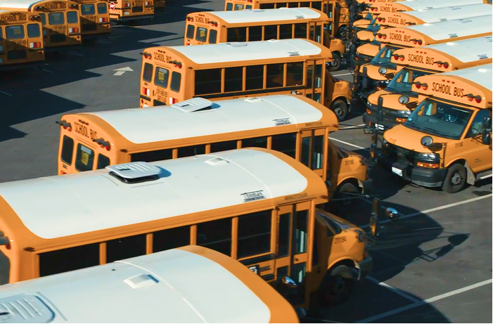Rows of yellow school buses parked in a lot, showcasing a fleet ready for transportation.