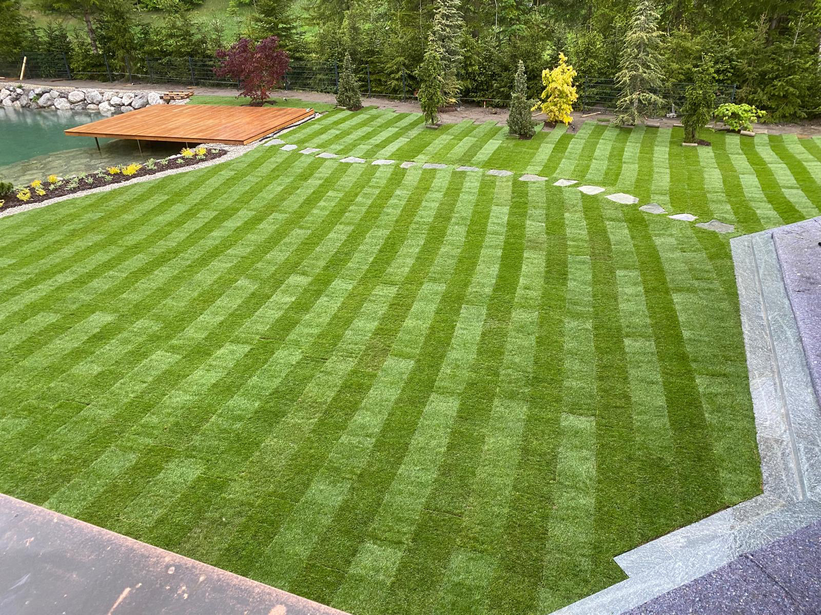 Grüner Rollrasen mit Streifenmuster, Steinen als Weg und Holzsteg am Teich im Garten.