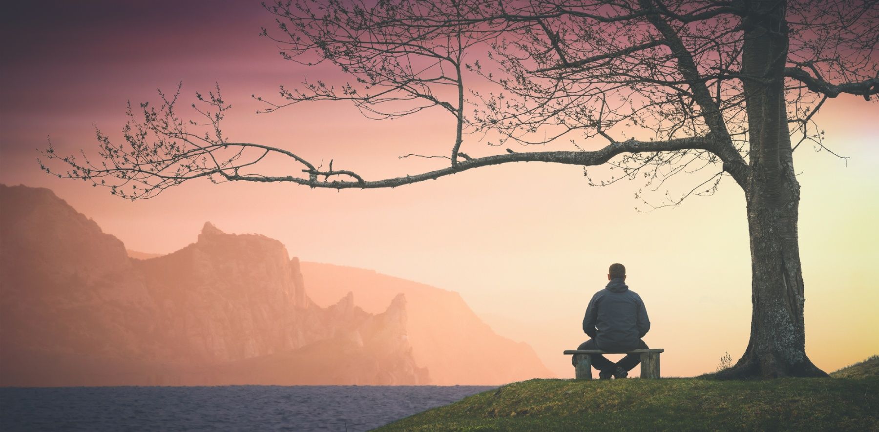 Solitary figure sitting on bench under bare tree, gazing at misty mountain landscape at sunset.