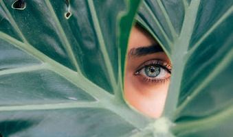Close-up of woman's eye peering through green plant leaves