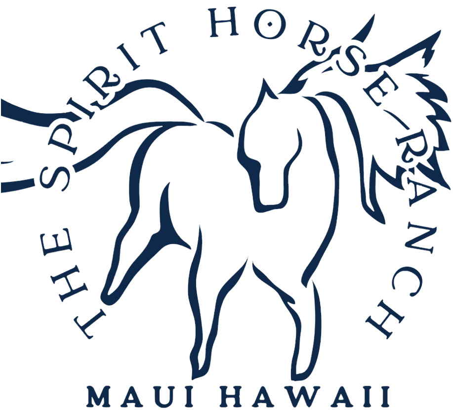 Spirited horse logo for Maui Hawaii with text in circular design