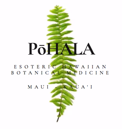 PoHALA logo featuring green fern leaf for esoteric Hawaiian botanical medicine in Maui