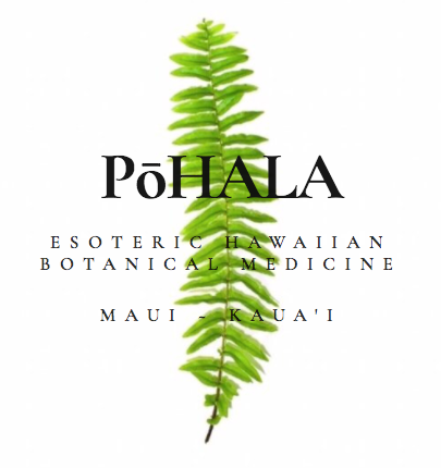 PoHALA logo featuring green fern leaf for esoteric Hawaiian botanical medicine in Maui