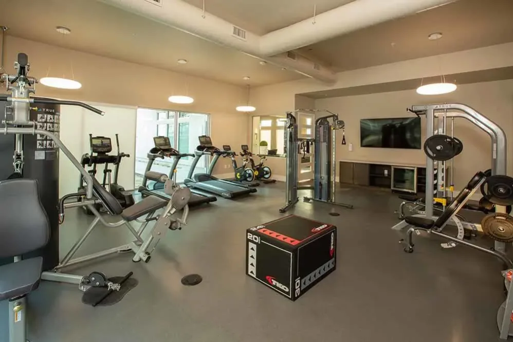 Gym