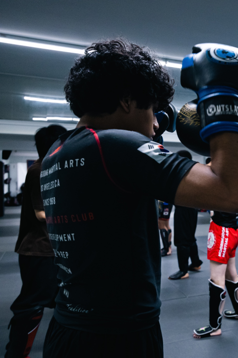 MMA (Mixed Martial Arts)