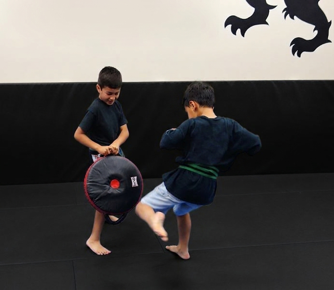 What is Combative Mixed Martial Arts (CMMA)?