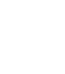 Miami Dolphins