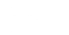 WNBA
