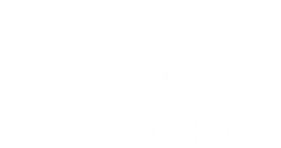 Discovery Cruise Line