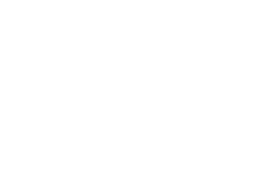 Qlik