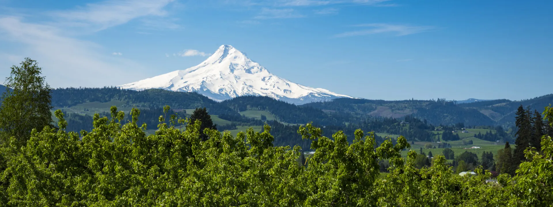 Snow-capped mountain with green trees and forested hills under a clear blue sky.