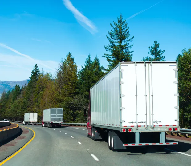 Three white commercial trucks driving on a curved highway surrounded by trees under a blue sky.