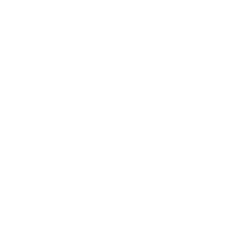 Parking icon