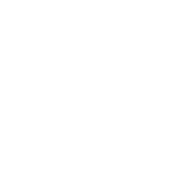 Maintenance icon