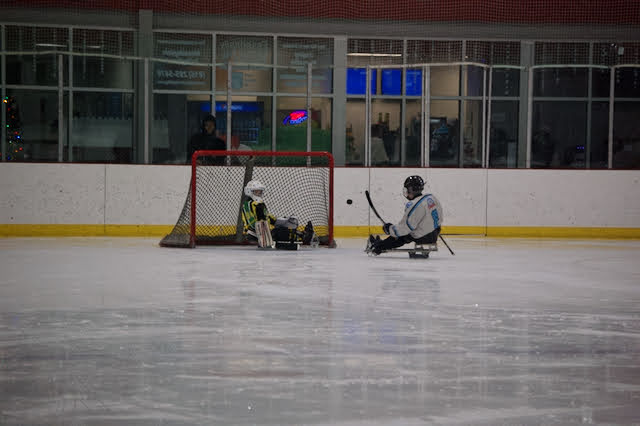 Sled Hockey