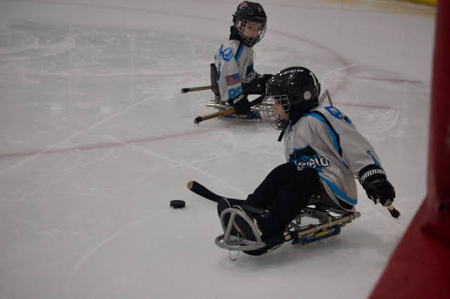 Sled Hockey