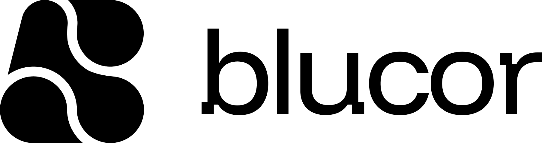 Blucor Logo 
