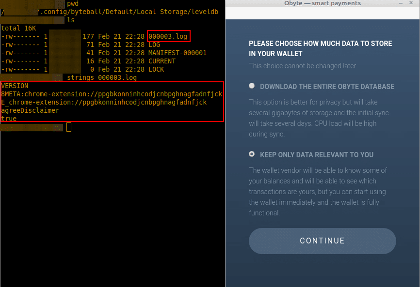 Local storage leveldb