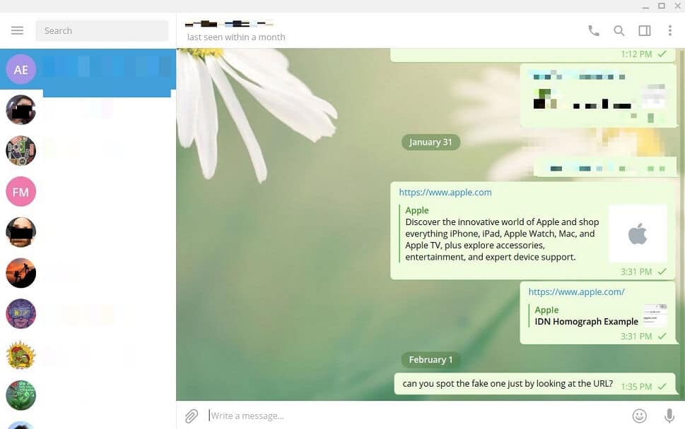 Telegram Desktop rendering a homograph URL with link preview