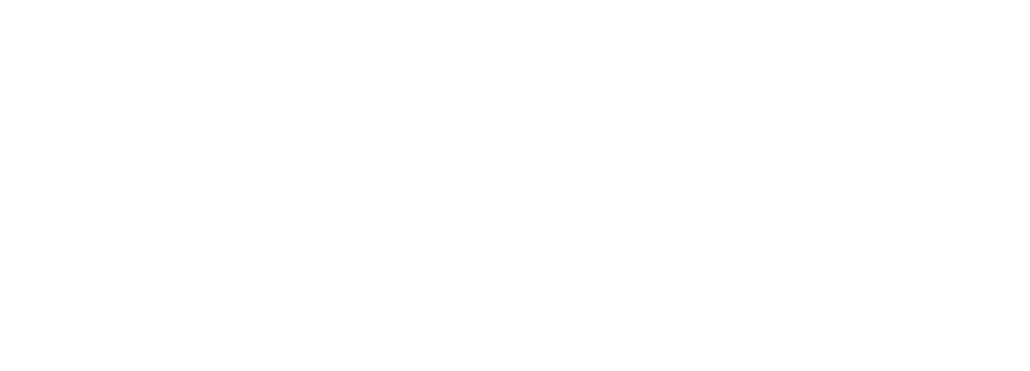 Parity Solutions