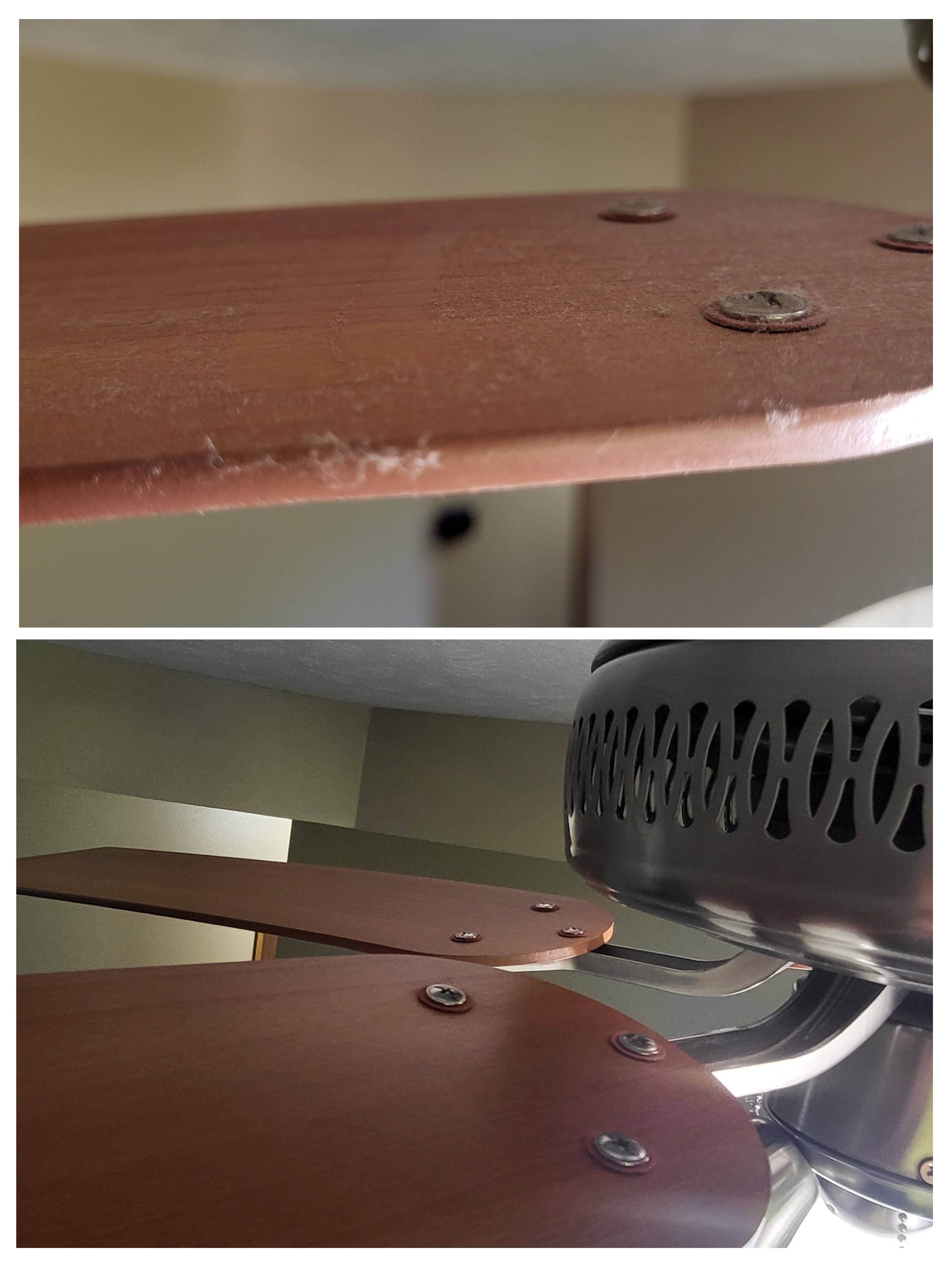 Recurring house cleaning Springfield Missouri results