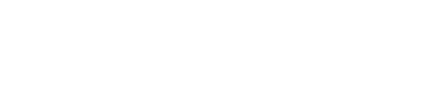 Michelle Benassi logo