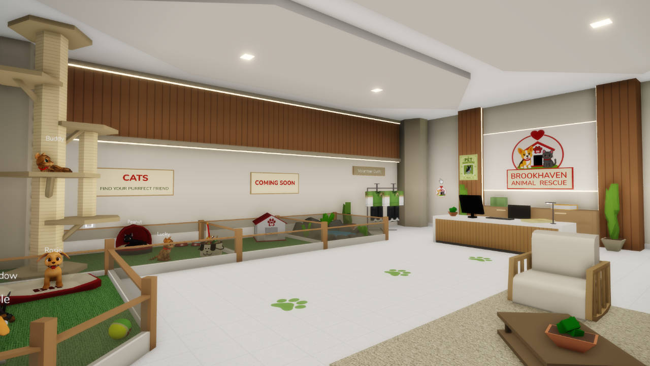 inside of the adoption center in brookhaven