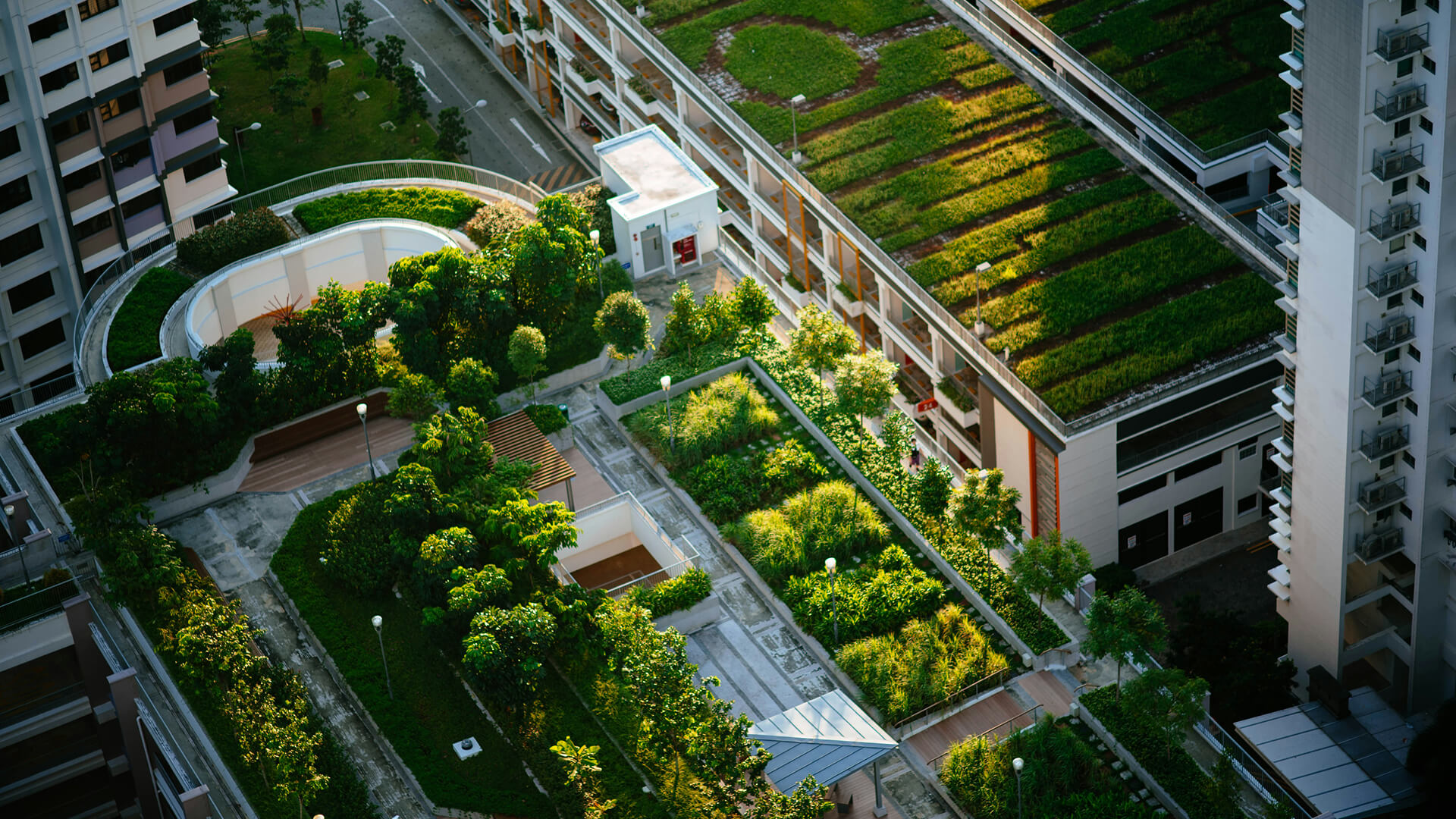 Urban Design