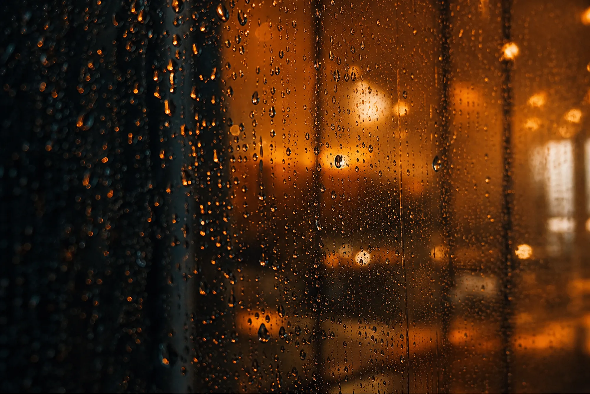 forma Studio is on high-contrast digital showcase celebrating moody minimalism. We curated a cinematic story focused on night architecture and premium dark textures.