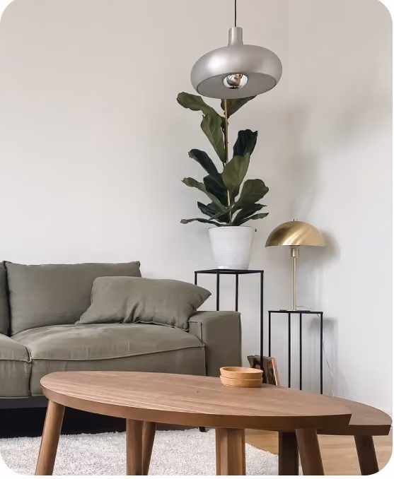 Living room with sofa and plant