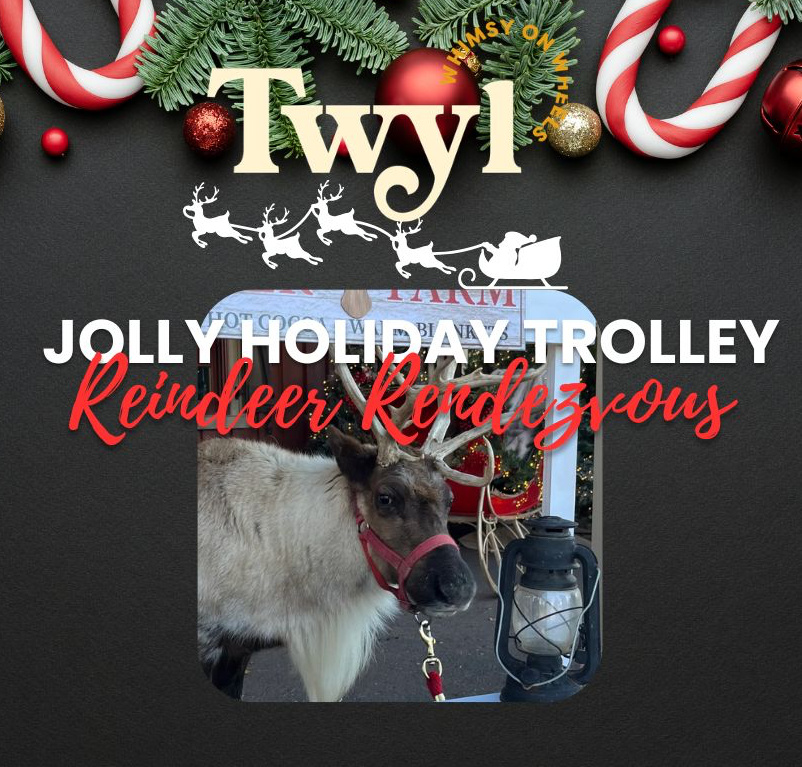 Reindeer photography sessions in New Hope, PA