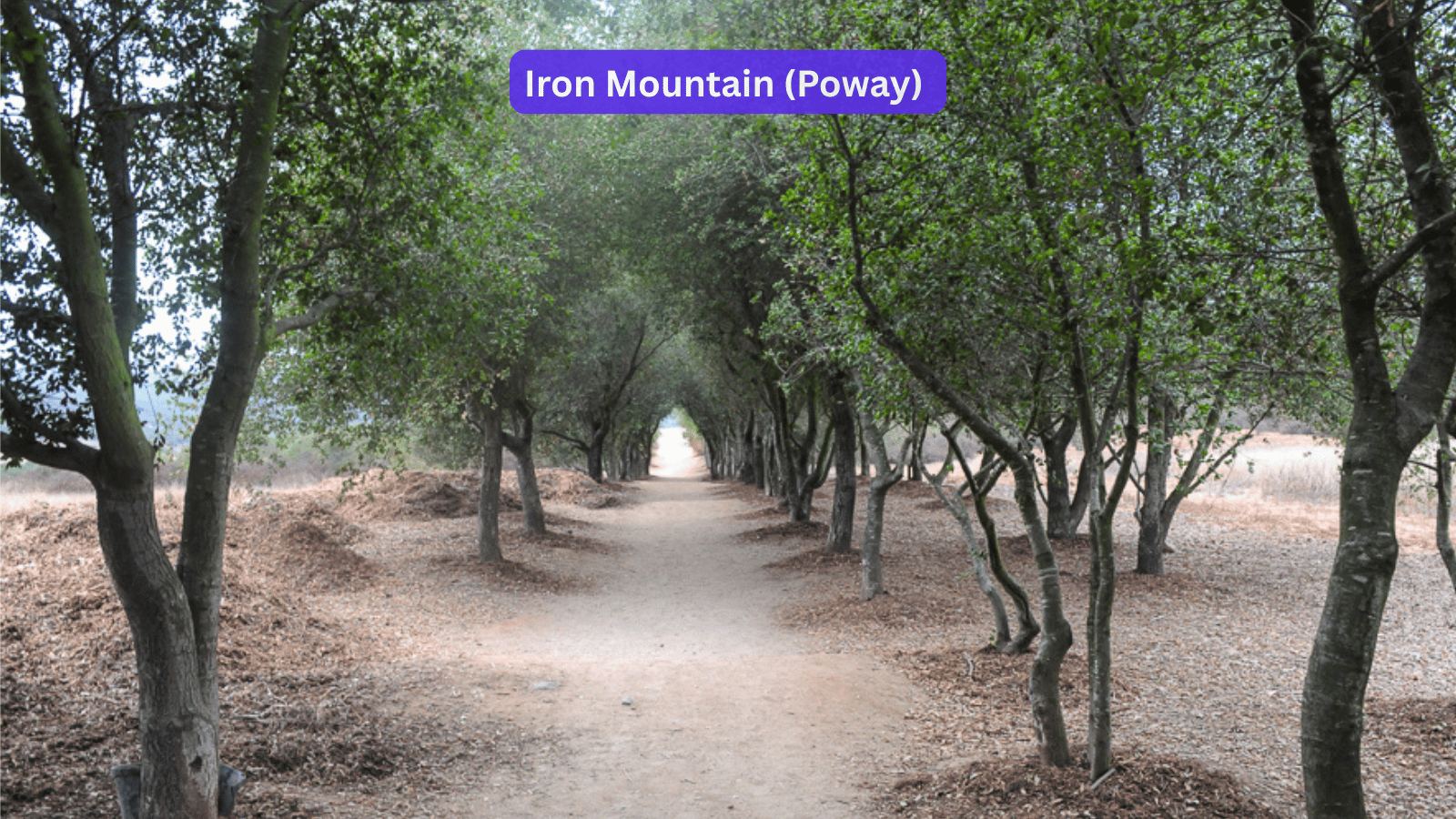Oak-lined dirt path at the start of the Iron Mountain trail in Poway, California, south of Escondido.