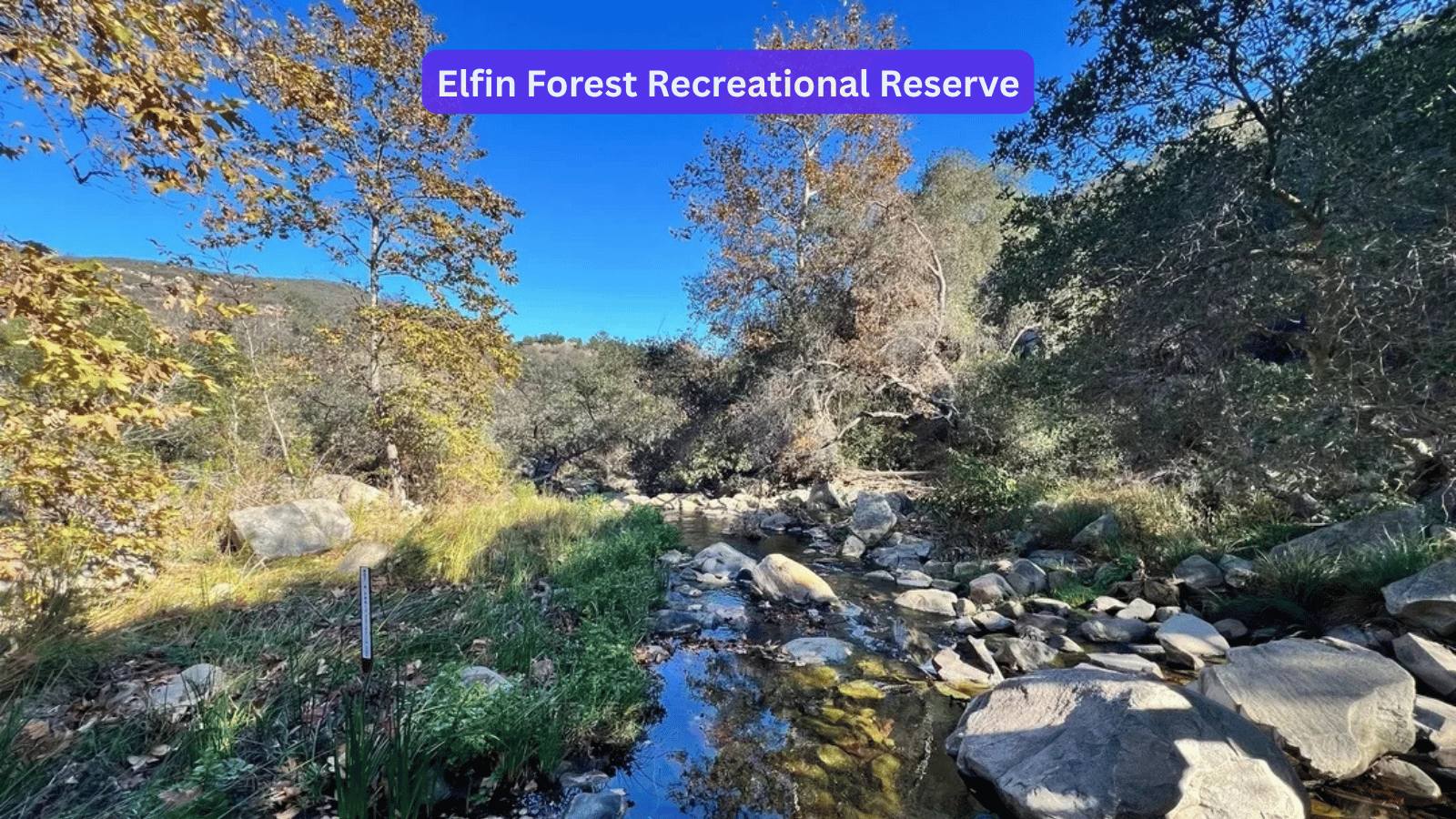 Creek running over boulders beneath oak and sycamore trees at Elfin Forest Recreational Reserve near Escondido, California.