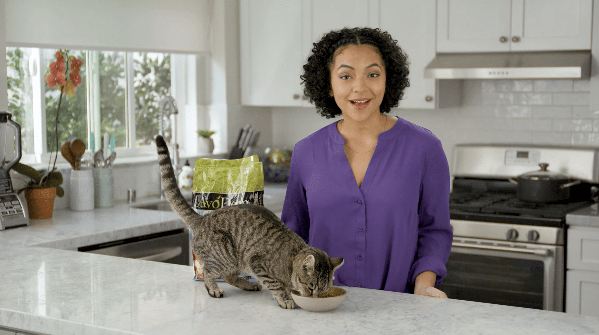 Working With Animals on a Video Set