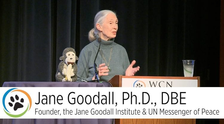 Jane Goodall speaking at the Wildlife Conservation Network Expo