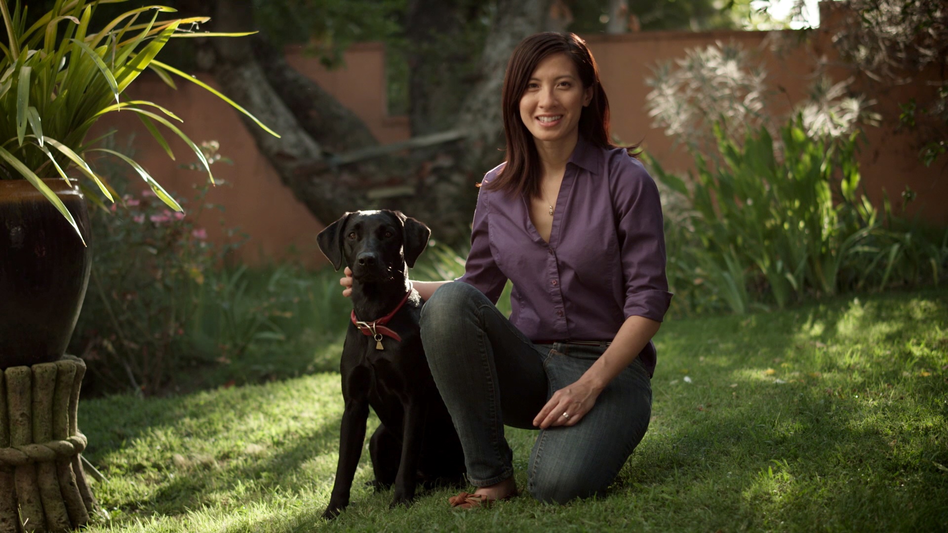 AvoDerm Natural commercial featuring a dog and owner outdoors