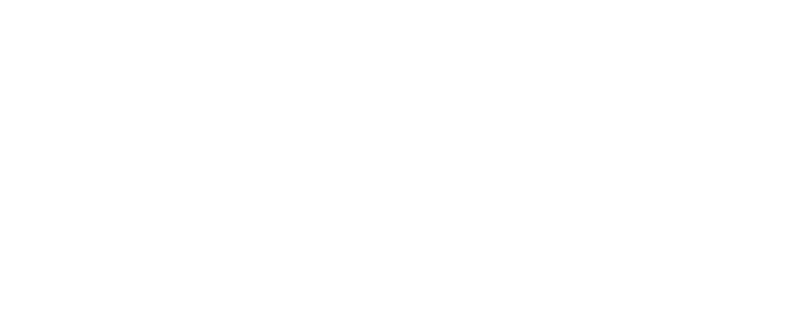 LzO meine Sparkasse Logo weiß