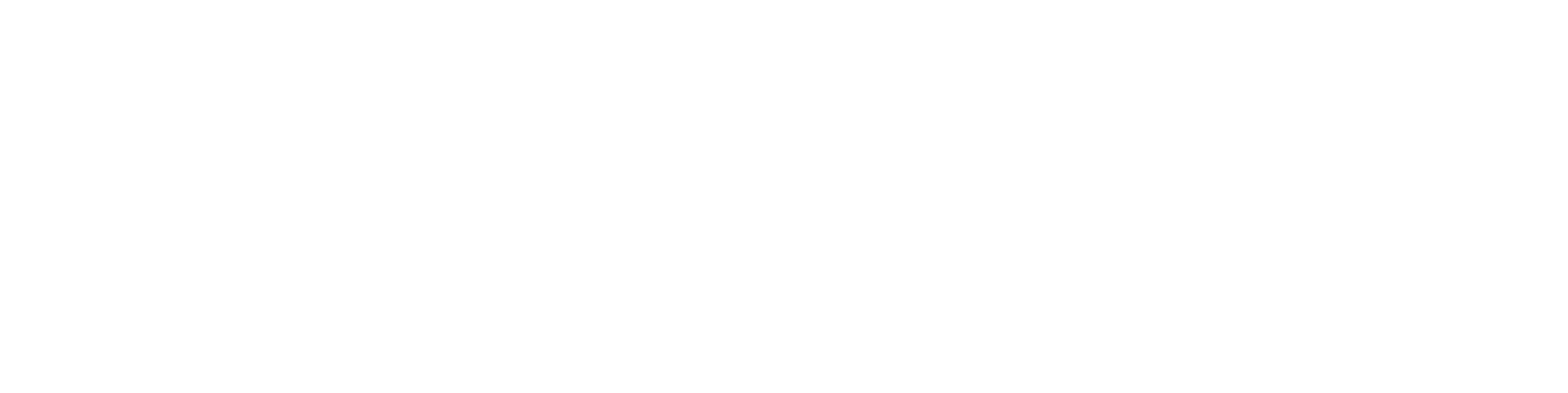 Kieler Volksbank Logo weiß