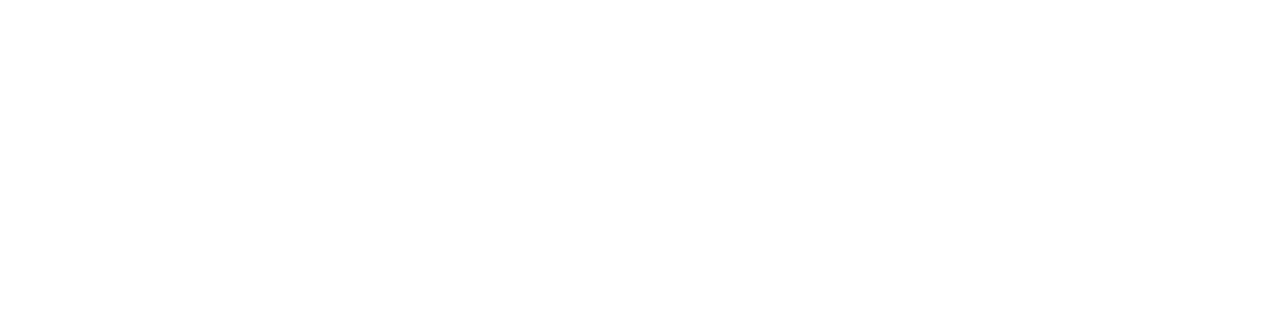 Kreissparkasse Herzogtum Lauenburg Logo weiß