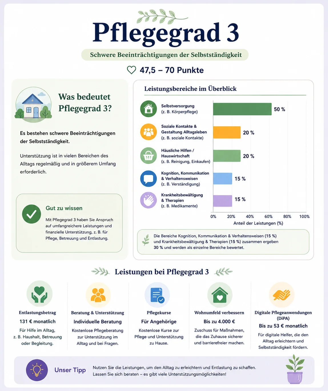 Pflegegrad 3 Übersichtschart - Hinweise zu Tipps, Zahlungen und allgemeinen Informationen und Conditionen