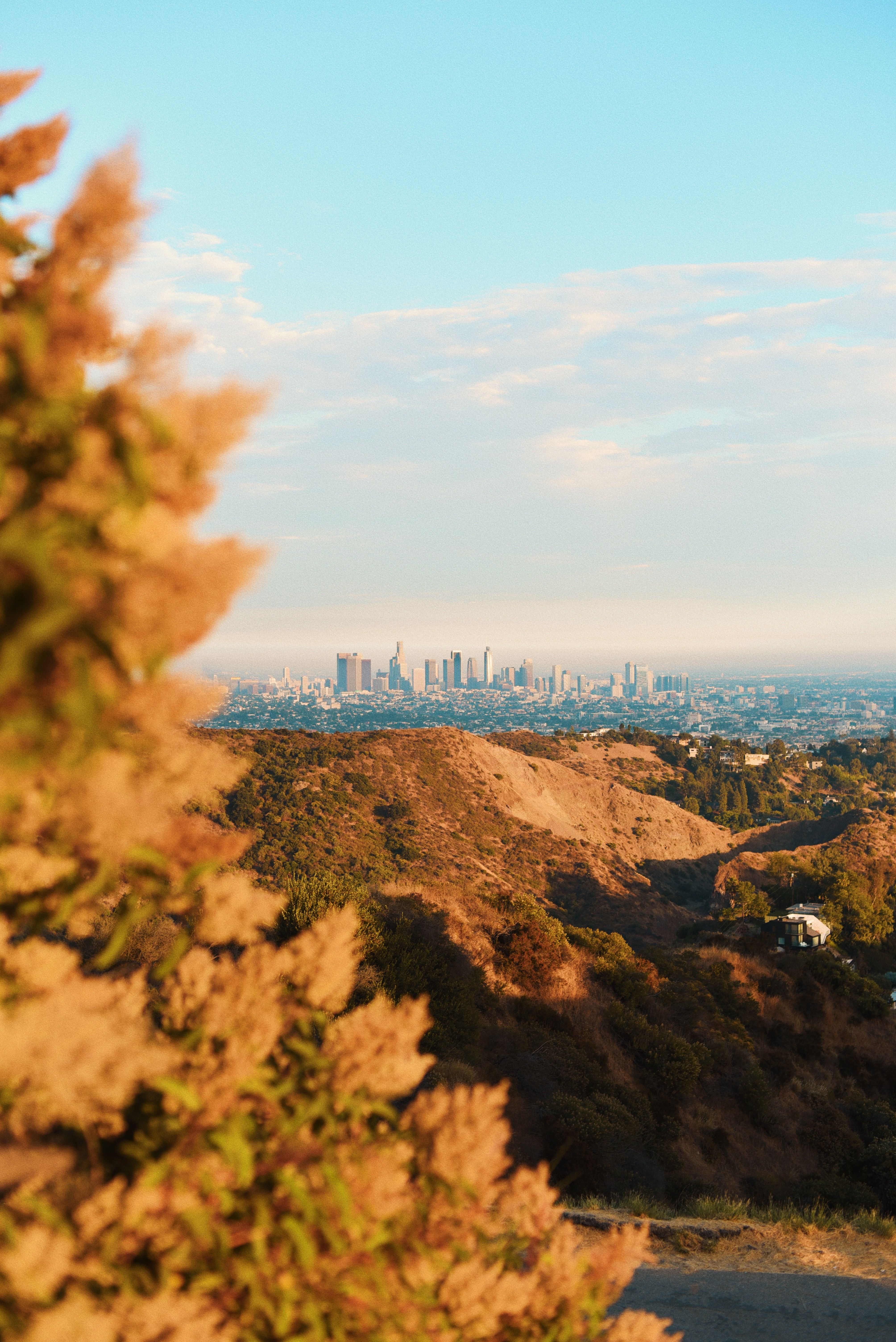 Los Angeles, California skyline from Griffith Park